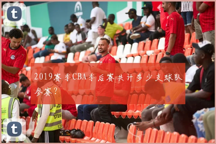 2019赛季CBA季后赛共计多少支球队参赛？